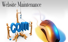 Updation and Maintenance of Website